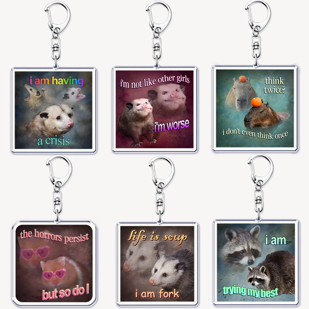 Tech Accessories Bag - Funny Possum Hamster Raccoon Cat Meme